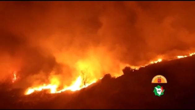Bosco in fiamme in Versilia