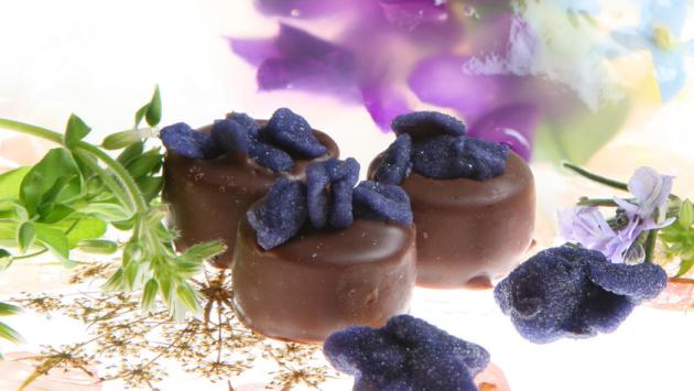 Violetta di Parma Fiore dell'amore