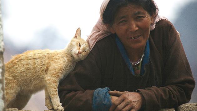 Ladakh, a due passi dal cielo