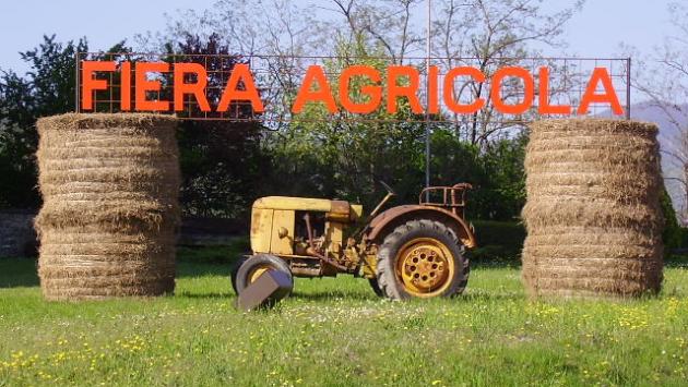 Weekend: la Top5 degli appuntamenti