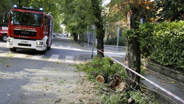 Il Parmense squassato dalle raffiche di vento: molte telefonate a vigili del fuoco