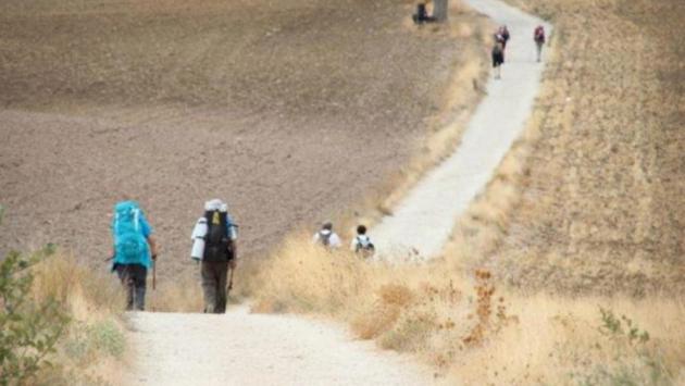 Modenese scomparso, la mamma ritira la denuncia: «Sta facendo il cammino di Santiago, vuole stare solo"