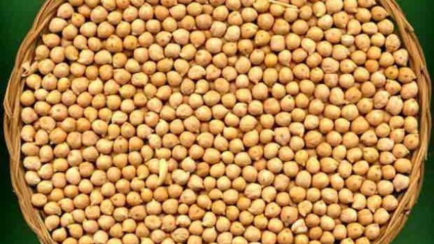 Il consumo di proteine vegetali è il segreto per invecchiare in salute 