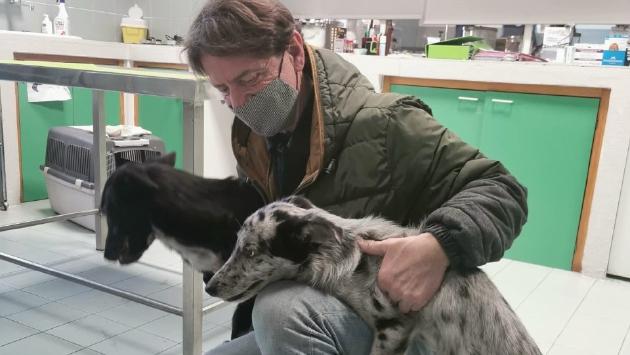 Le cagnoline disabili buttate tra i rifiuti hanno trovato casa e il carrellino