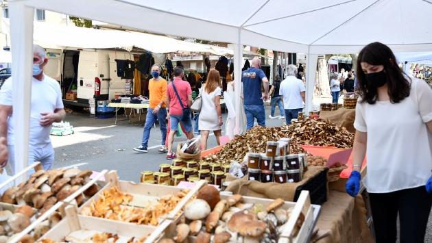 Fiera del fungo: sarà un'edizione «in grande»