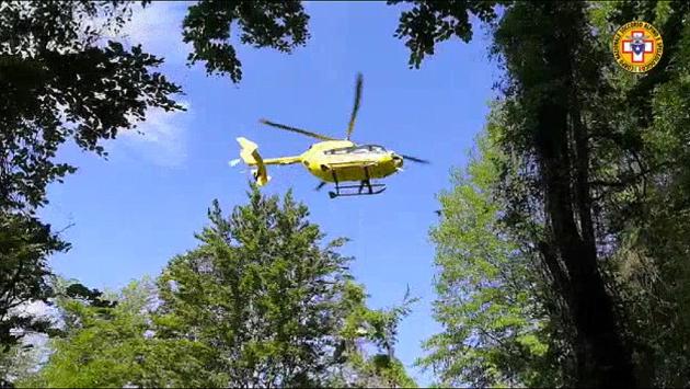 Solignano, cacciatore sta male dopo essere stato punto dai calabroni: soccorsi in azione per raggiungerlo