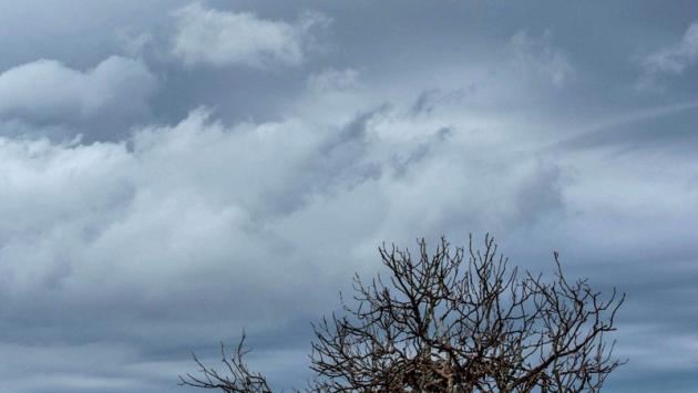  Vento forte e temporali: per domani è allerta meteo