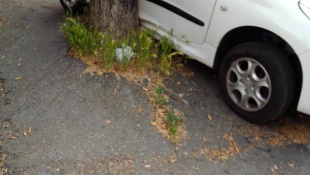 «Strage» di auto: individuato e denunciato un 25enne