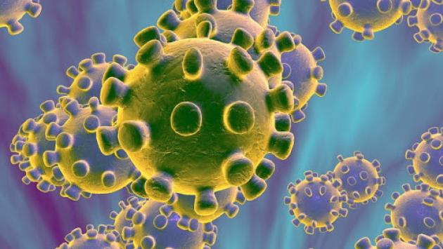Coronavirus, nasce il super archivio dei pazienti 