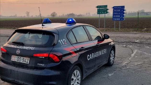 Busseto, cane fugge e morde due persone. Denunciato il proprietario