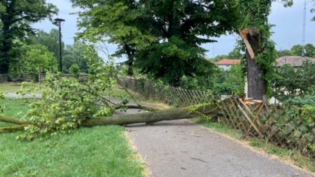 Tempo pazzo: massima scesa da 30 a 17 gradi in un giorno