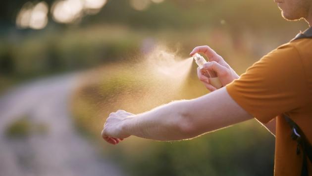 West Nile, 25 casi in Regione. L'Ausl: «L'emergenza? Colpa dell'inverno mite»