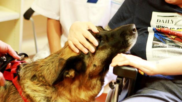 Un animale ci migliora la vita e la salute
