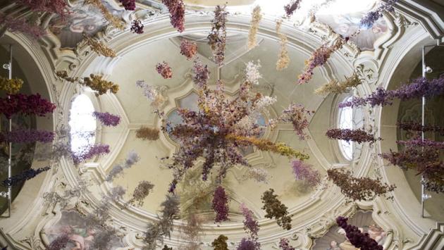 Il Florilegium di Rebecca Louise Law «sboccia» nel segno di Pharmacopea