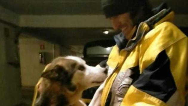Ivano Ponzini: «Il mio viaggio in Lapponia per portare a casa il cane Thompson al suo papà Claudio De Ferrari»