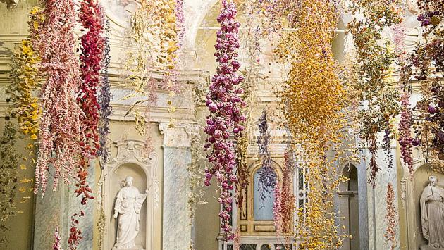 Rebecca Louise Law conquista Parma con 200mila fiori: mostra prorogata fino al 19 dicembre