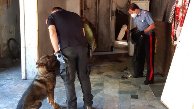 Irruzione con i cani nella pizzeria diventata ghetto