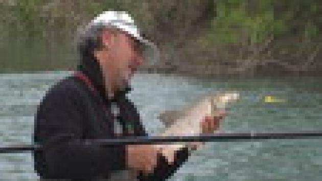 A pesca con Afro