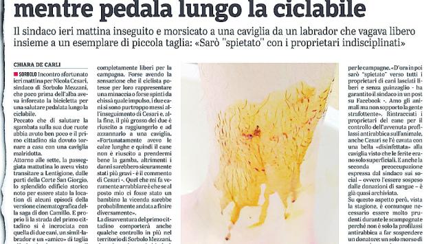 Cani pericolosi: oggi a Radio Parma se ne parla con il sindaco (morsicato) Cesari