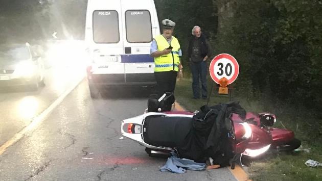 Cinghiale attraversa la strada, 70enne lo centra con lo scooter: è grave