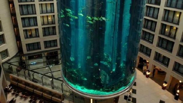 Acquario esploso a Berlino, il racconto del parmigiano: «Botto enorme, come un terremoto»