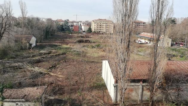 Ex Castelletto, tagliati tutti gli alberi, via ai lavori della scuola