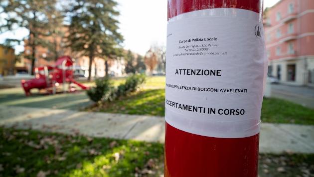 Allarme bocconi avvelenati in piazzale Pablo