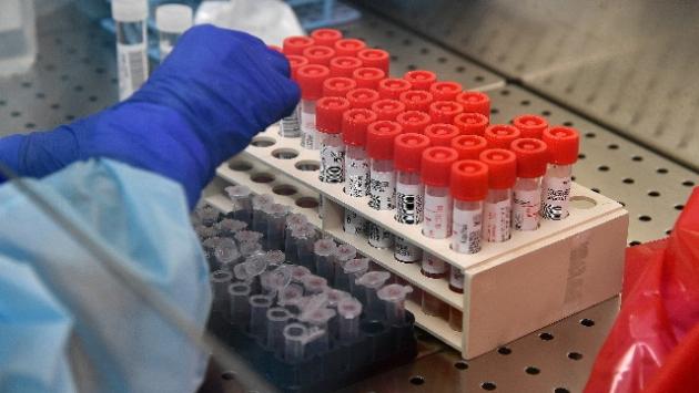 Tornano le restrizioni nella regione di Lisbona. Florida: superati i 100 mila casi