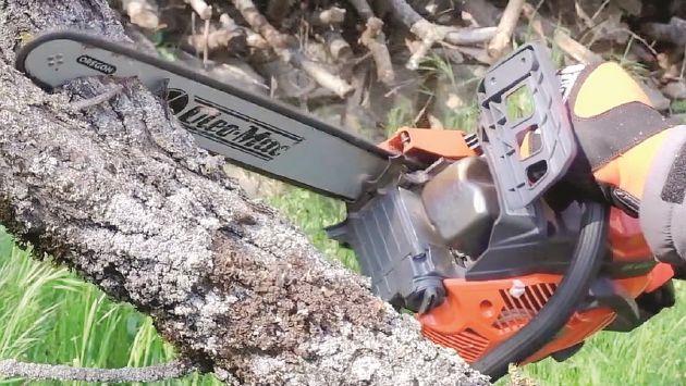Nasce il marchio del legno Dop