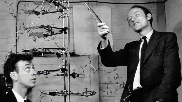 Dna: 70 anni fa la scoperta della «doppia elica», il codice della vita