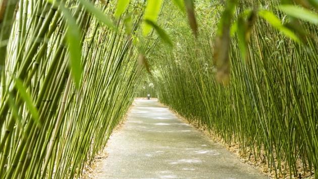 Insegnare, vivere  e mangiare green: 5 incontri al Labirinto 