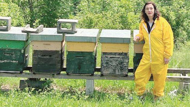 Bertani: «Il mio lavoro? Dare la caccia ai fiori con le api»