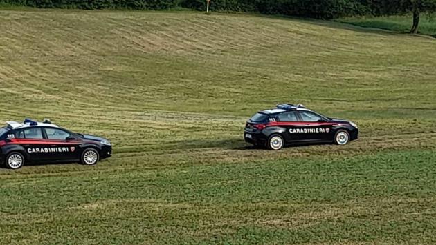 Carabinieri a “caccia” di un toro infuriato nei prati di Gotra