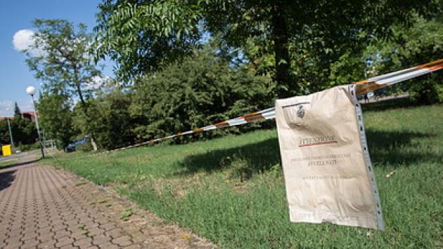 Via Picasso: allarme bocconi avvelenati