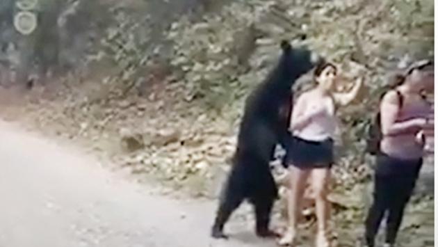 L'orso le si alza alle spalle, lei resta immobile e scatta anche un selfie - Video 