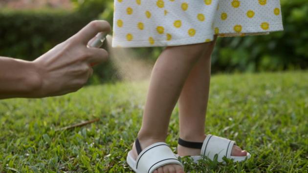  Zanzare e zecche ti hanno preso di mira? Occhio alle infezioni, ecco più comuni