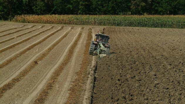 La cultura  del latifondo  e quella della produzione