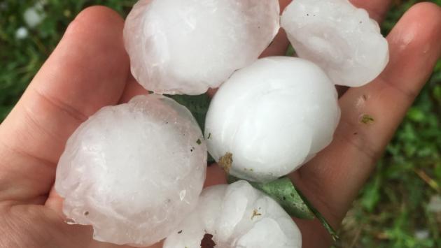 Ravarano, grandinata con chicchi enormi. Molti danni anche a Terenzo