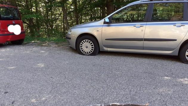 Parco nazionale, i fungaioli si ritrovano (di nuovo) le gomme tagliate. Il presidente: "Stupido e grave"