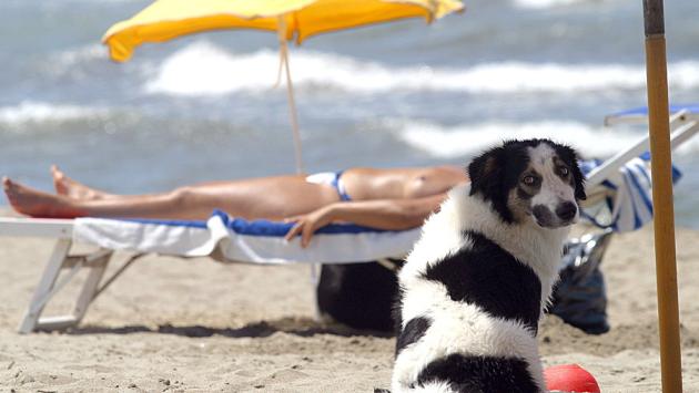 Il Ministro bacchetta i gendarmi anti-topless sulla spiaggia
