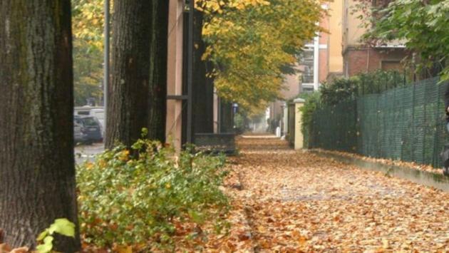 «Dammi la borsetta». Ma lei lo prende a calci e lo fa scappare