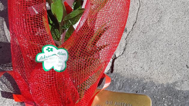 "Rubata la rosa posata stamattina sulla pietra d'inciampo che ricorda mio nonno"