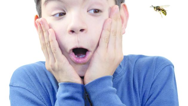 Quando  l'allergia  ti punge  nel vivo   
