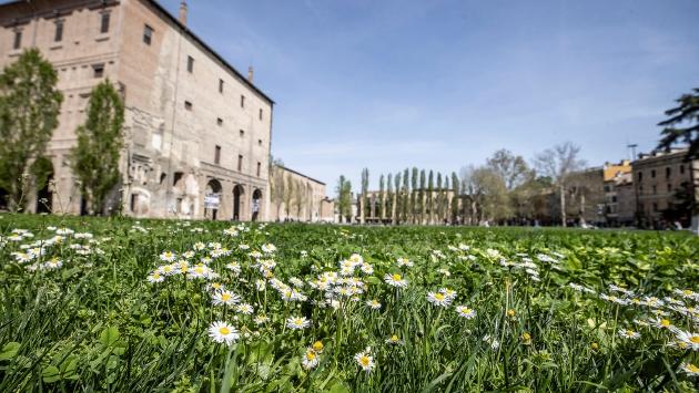 La Pilotta è finita in campagna? No, Parma è una giungla urbana
