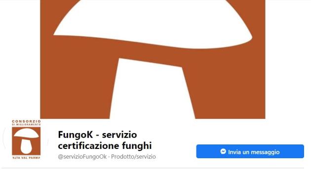 Con il micologo funghi sicuri e senza segreti