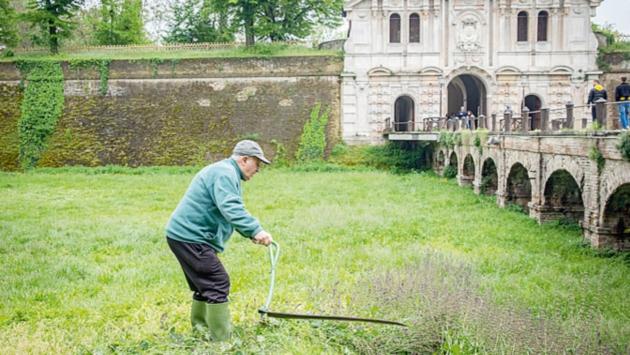 I ritardi negli sfalci? Assegnate solo ora le manutenzioni. E in Cittadella c'è chi rispolvera la falce