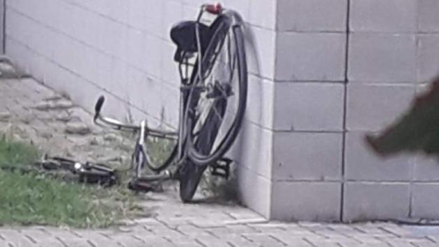 Sorbolo, parchi invasi dai vandali