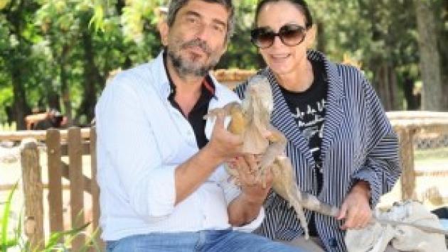 Muore precipitando da una scala Gianni Garbellini, marito di Tamara Baroni