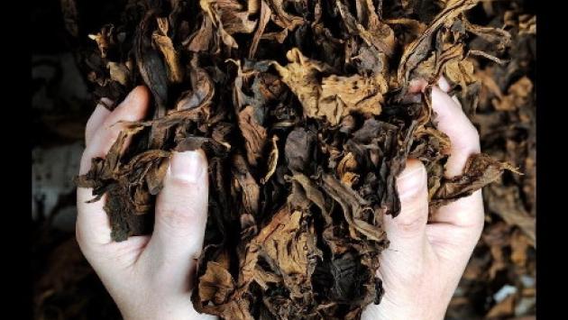 L'Antico Toscano è il sigaro 'migliore al mondo' (fuori dai Caraibi)