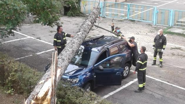 Salso, albero cade su un'auto nel parcheggio vicino alla scuola